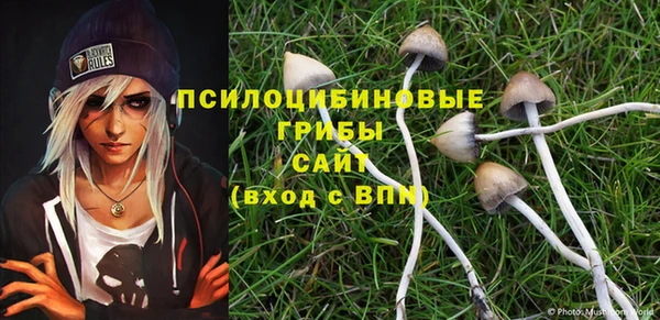 ECSTASY Алексеевка