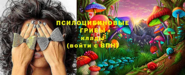 ECSTASY Алексеевка