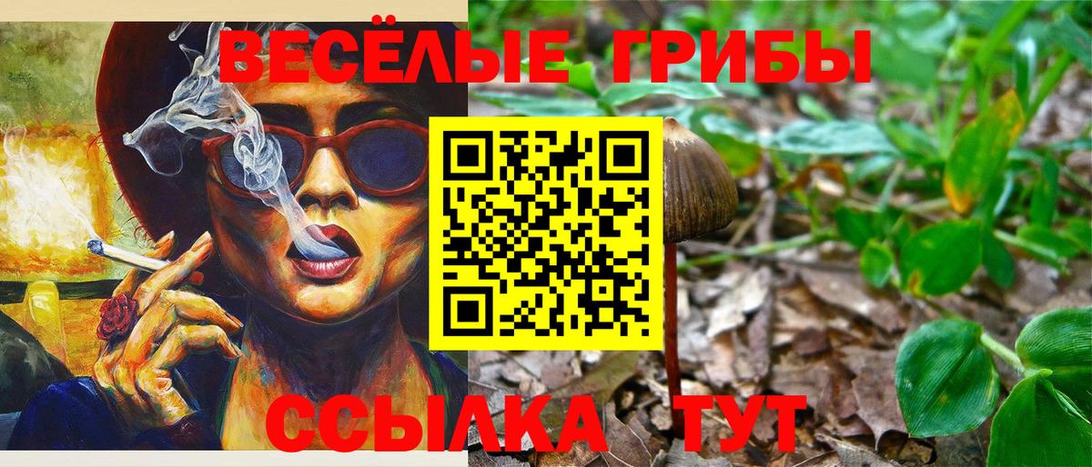 Дзержинский  Псилоцибиновые грибы мицелий  Вход с VPN 