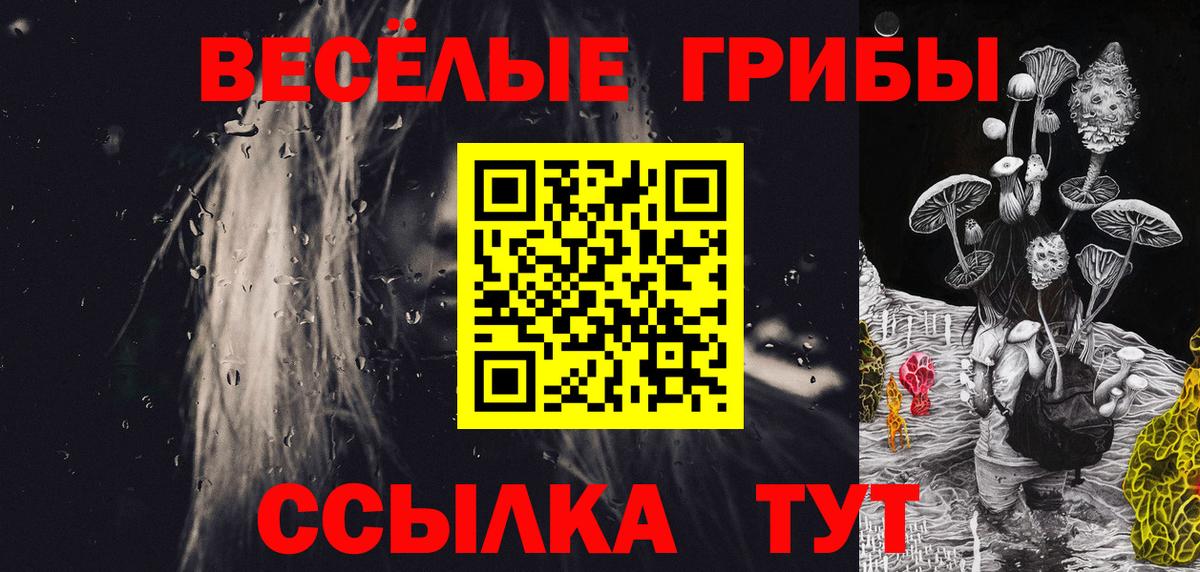 Псилоцибиновые грибы Psilocybe Дзержинский